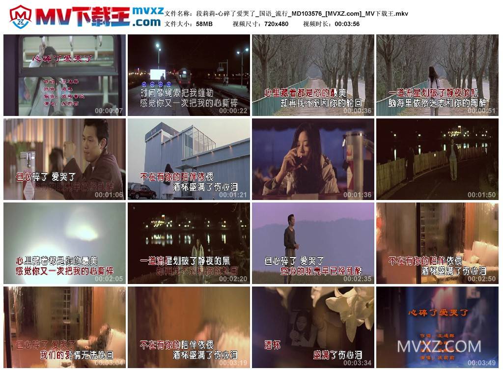 段莉莉-心碎了爱哭了_国语_流行_MD103576